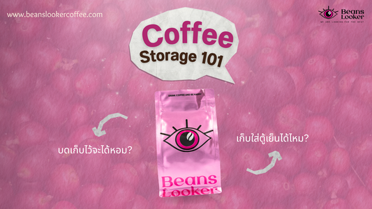 Coffee Storage 101 วิธีเก็บเมล็ดกาแฟให้หอมนาน เคล็ดลับที่คอกาแฟควรรู้