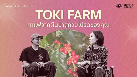 TOKI FARM – กาแฟจากผืนป่าสู่ถ้วยโปรดของคุณ