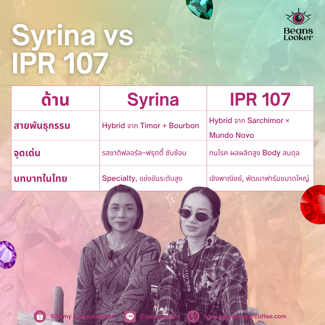 Syrina มณีพฤกษ์ - Wanna Farm, Nan