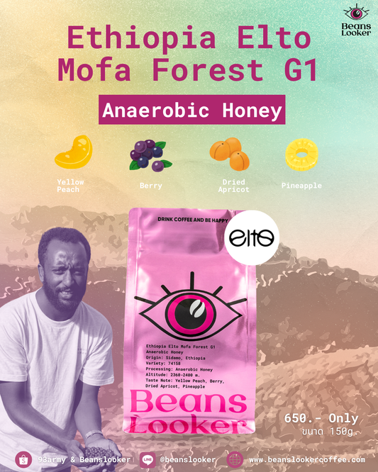 Ethiopia Elto Mofa Forest G1 – Anaerobic Honey