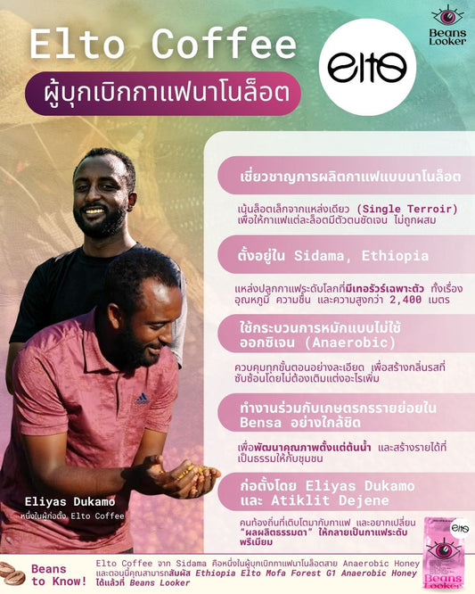 Ethiopia Elto Mofa Forest G1 – Anaerobic Honey