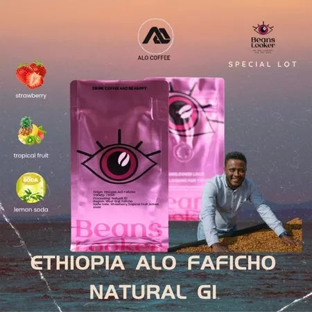 Ethiopia ALO Faficho 74158 – Natural G1 กาแฟเอธิโอเปียอโล ล็อตพิเศษ