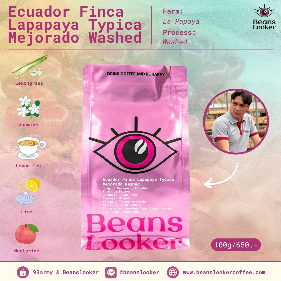 Ecuador Finca La Papaya Typica Mejorado (Washed)