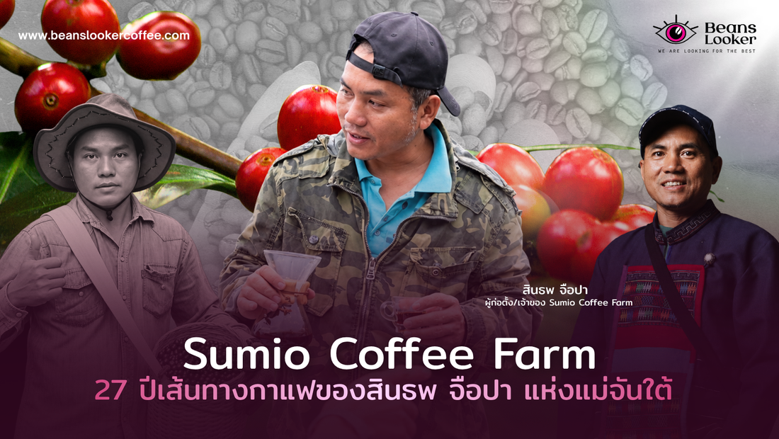 จากลองผิดลองถูกสู่ 27 ปีแห่งกาแฟ: เรื่องราวของ ‘สินธพ จือปา’ และ Sumio Coffee Farm แม่จันใต้
