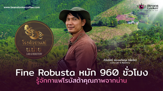 Fine Robusta คืออะไร? รู้จักกาแฟโรบัสต้าคุณภาพจากน่าน และการหมัก 960 ชั่วโมง