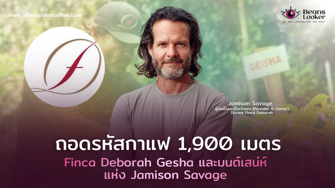 จากป่าฝนปานามาสู่แก้วกาแฟ: Finca Deborah Gesha ไฮเอนด์โปรเซสโดย Jamison Savage