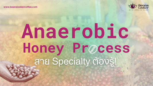 Anaerobic Honey คืออะไร? โปรเซสกาแฟสุดซับซ้อนที่สาย Specialty ต้องรู้จัก
