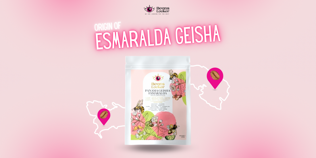 https://beanslooker.com/products/panama-geisha-esmaralda