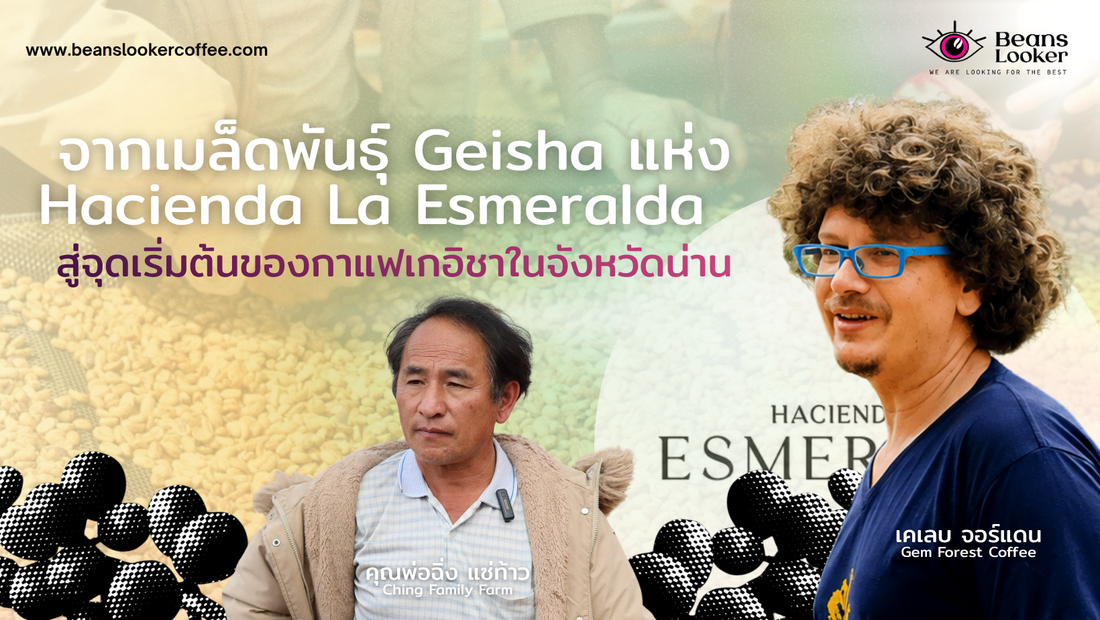 Geisha Nan – Keleb Jordan จาก Esmeralda สู่กาแฟเกอิชาน่าน