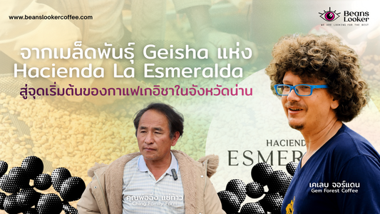 Geisha Nan – Keleb Jordan จาก Esmeralda สู่กาแฟเกอิชาน่าน