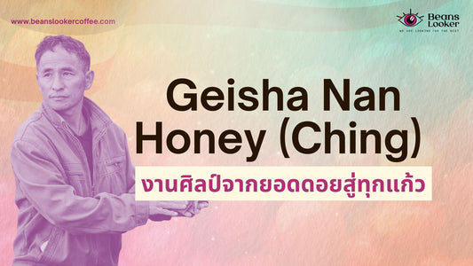 Geisha Nan Honey (Ching) – งานศิลป์จากยอดดอย สู่ทุกแก้วกาแฟ