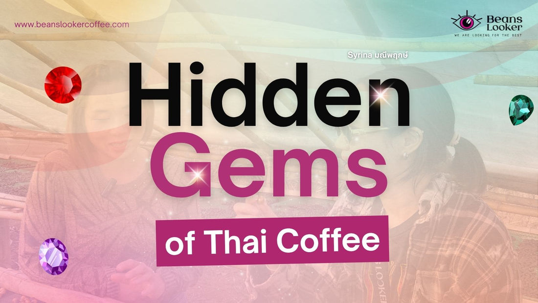 Hidden Gems of Thai Coffee - Syrina มณีพฤกษ์