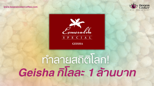 ✨ทำลายสถิติโลก! Geisha จาก Panama ประมูลได้กว่า 20 ล้านบาทใน Best of Panama 2025