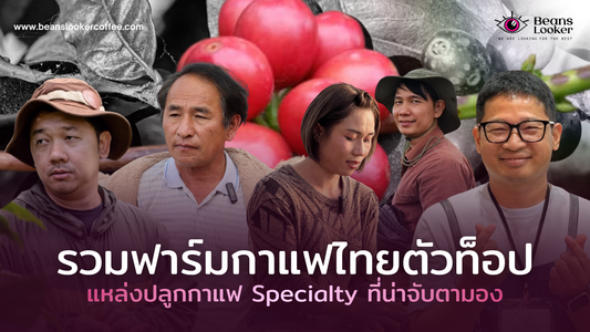 รวมฟาร์มกาแฟไทยตัวท็อป แหล่งปลูกกาแฟ Specialty ที่น่าจับตามอง