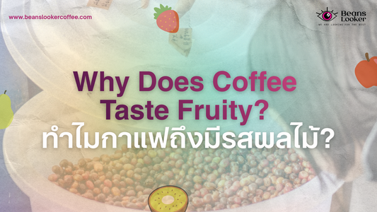 Why Does Coffee Taste Fruity? ทำไมกาแฟถึงมีรสผลไม้