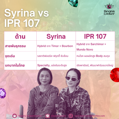 Syrina มณีพฤกษ์ - Wanna Farm, Nan