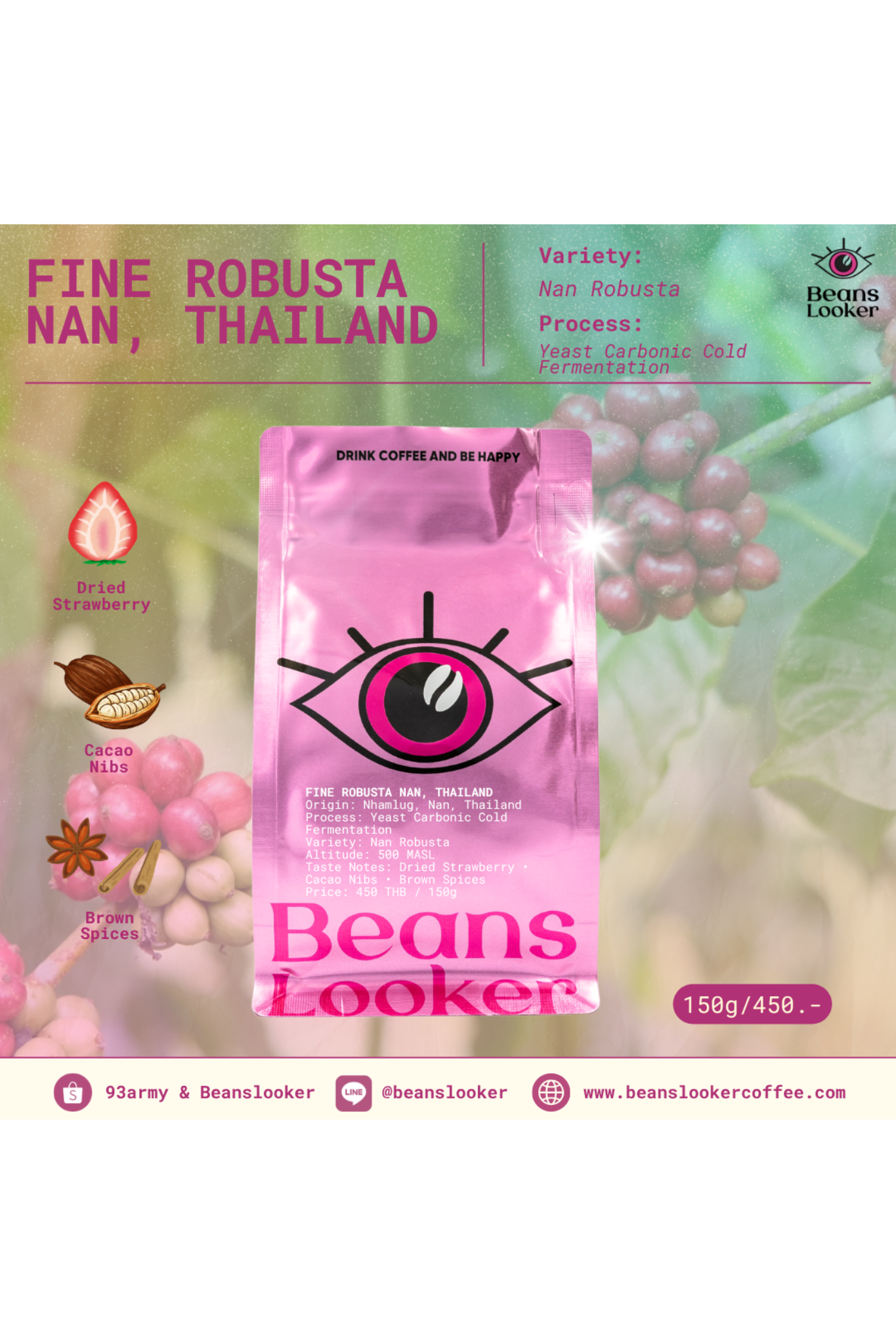 Thailand Fine Robusta – Nan, Thailand