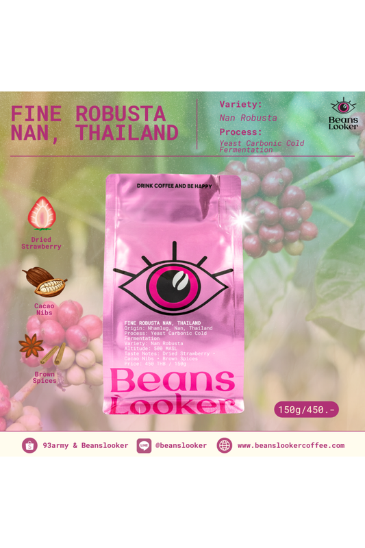 Thailand Fine Robusta – Nan, Thailand