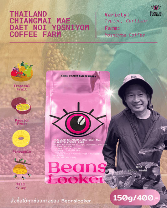 THAILAND CHIANGMAI MAE DAET NOI YOSNIYOM COFFEE FARM