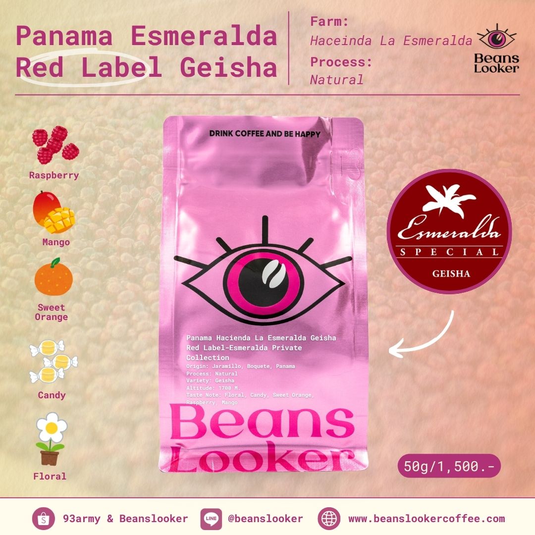 Panama Hacienda La Esmeralda Red Label Geisha (Natural)
