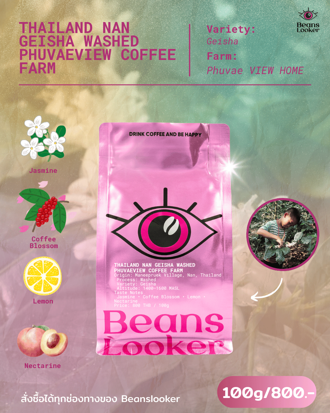THAILAND NAN GEISHA WASHED