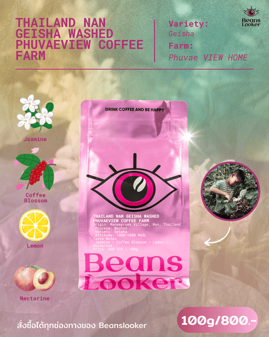 THAILAND NAN GEISHA WASHED