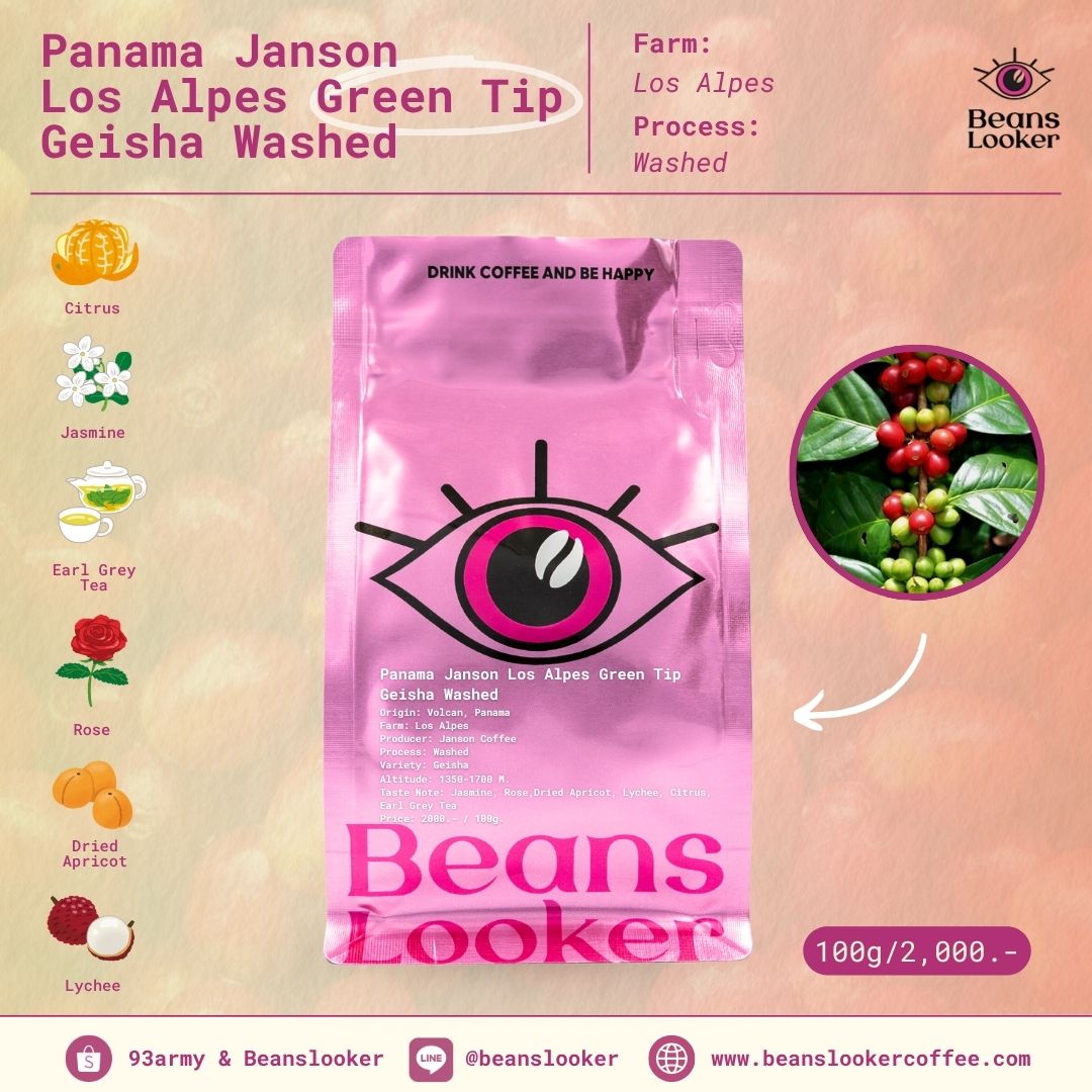 Panama Janson Los Alpes Green Tip Geisha (Washed)
