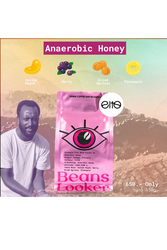Ethiopia Elto Mofa Forest G1 – Anaerobic Honey