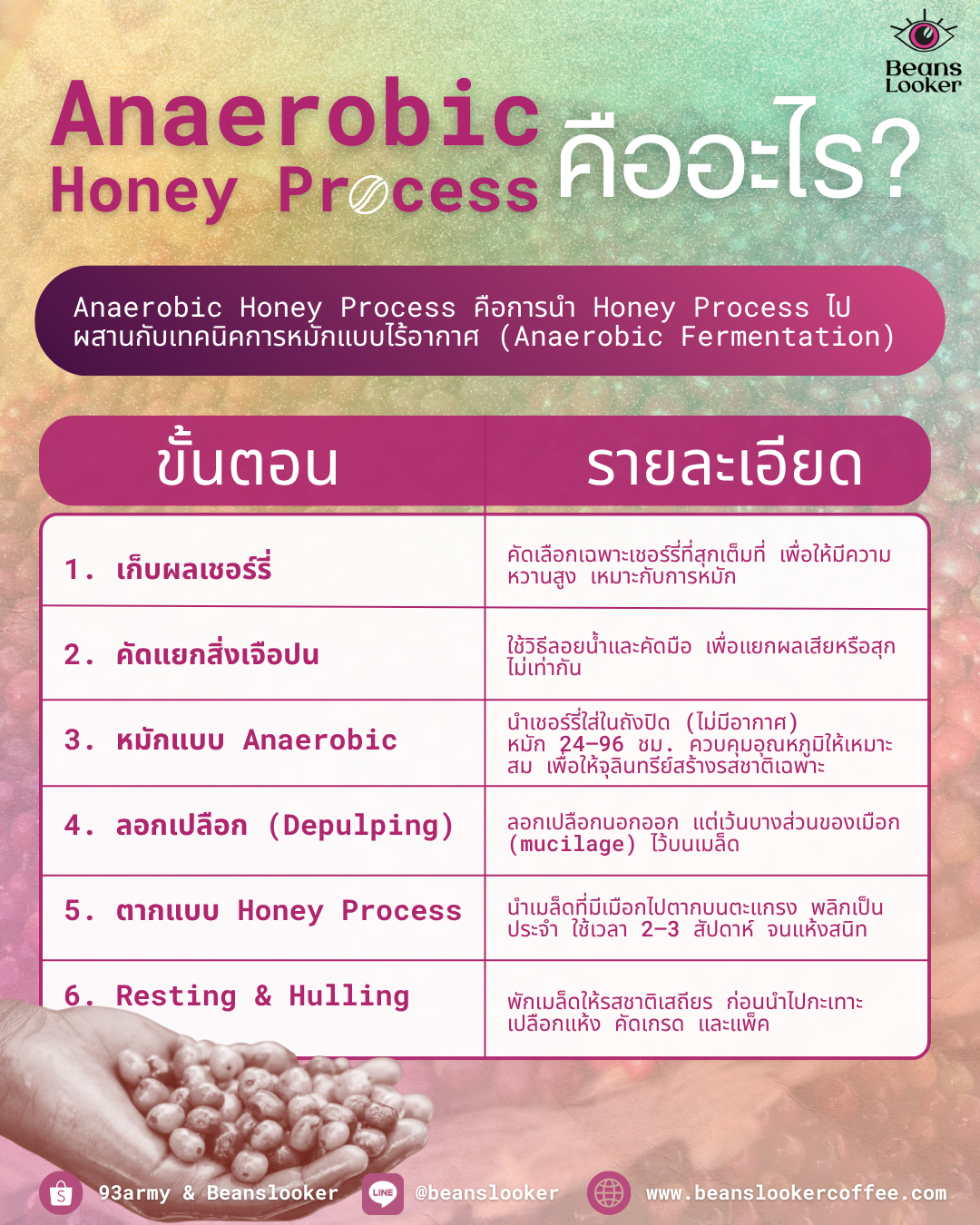 Ethiopia Elto Mofa Forest G1 – Anaerobic Honey