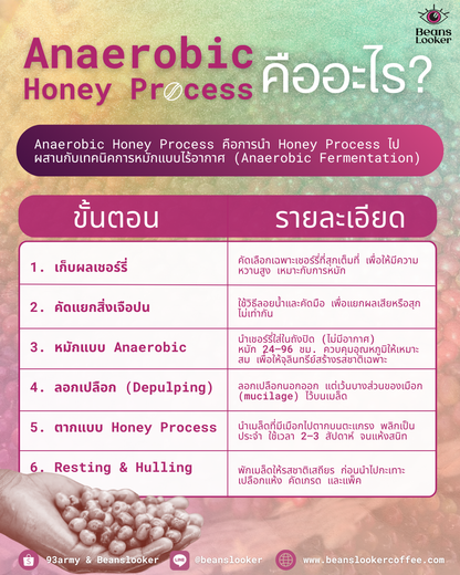 Ethiopia Elto Mofa Forest G1 – Anaerobic Honey