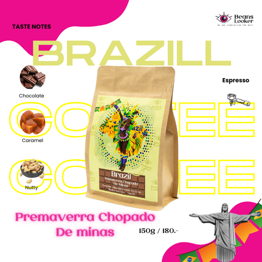 Brazil Primavera Chapada De Minas l เมล็ดกาแฟบราซิล คั่วกลาง