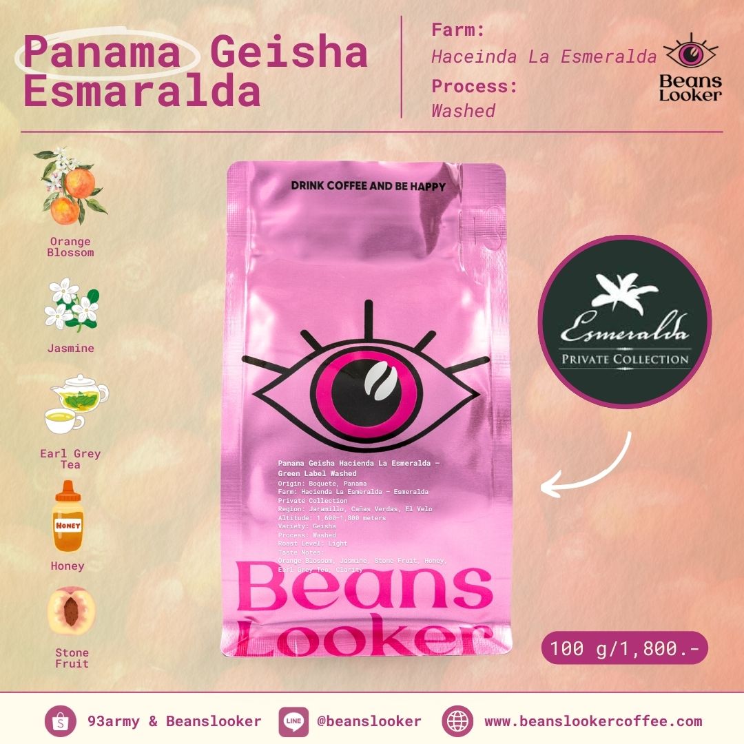 Panama Geisha Hacienda La Esmeralda – Green Label Washed