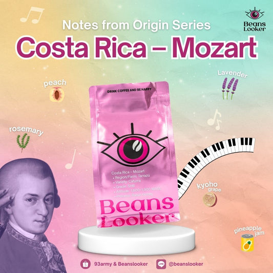 Costa Rica Canet – Mozart