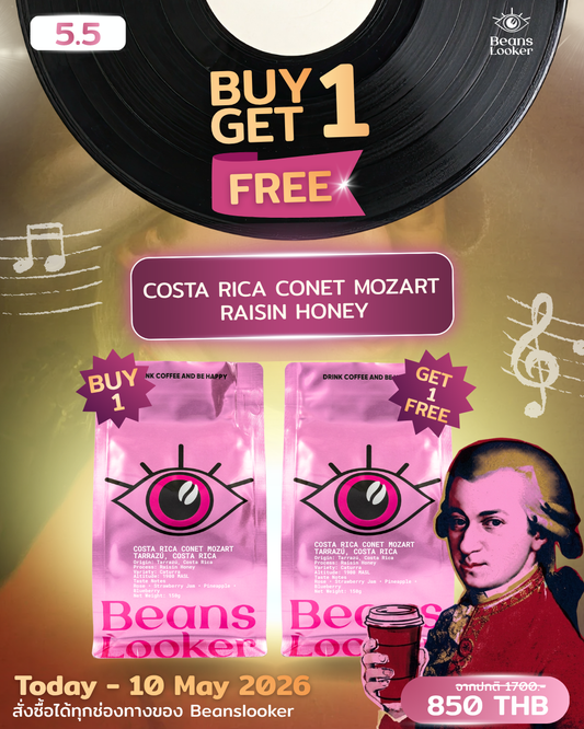 Payday Buy 1 Get 1 Free - COSTA RICA CONET MOZART – Raisin Honey