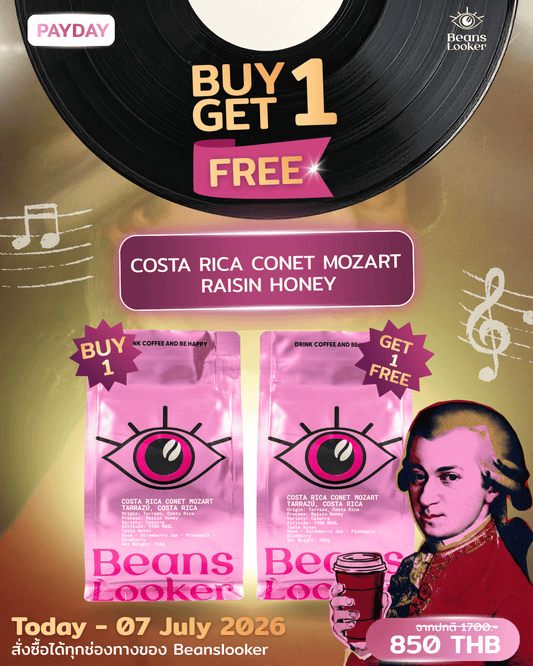 Payday Buy 1 Get 1 Free - COSTA RICA CONET MOZART – Raisin Honey