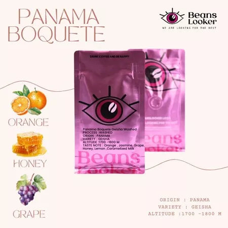 Panama Boquete Geisha Washed