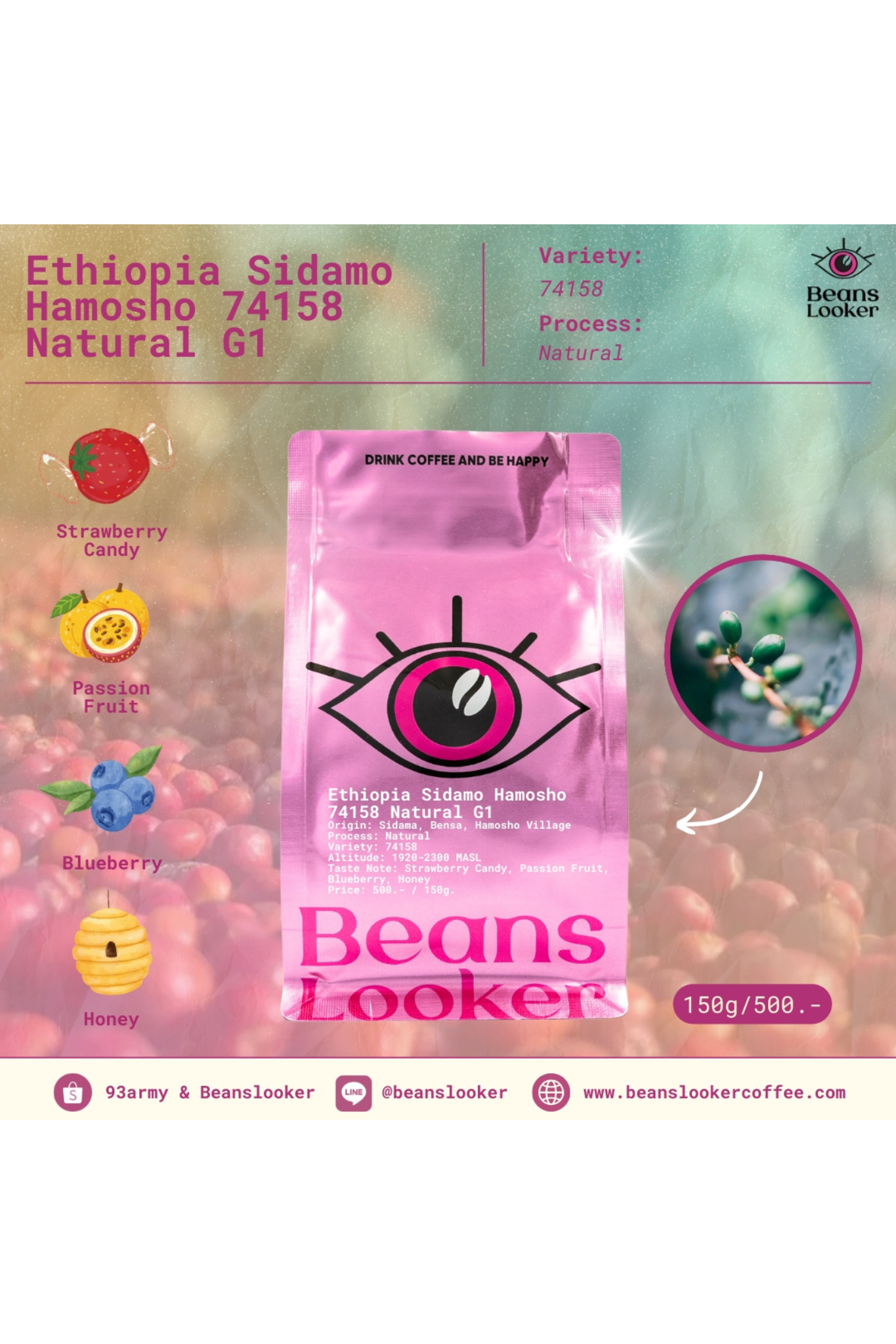 Ethiopia Sidamo Hamosho 74158 Natural G1