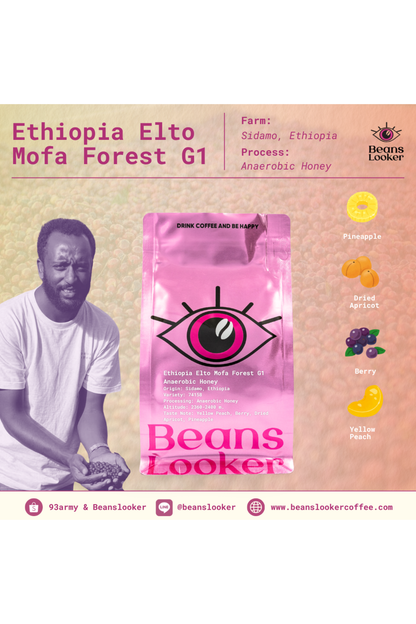 Ethiopia Elto Mofa Forest G1 – Anaerobic Honey